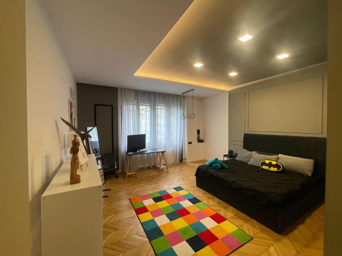 Apartmán New Opera Studio Old City Center Self Check In Temešvár Exteriér fotografie