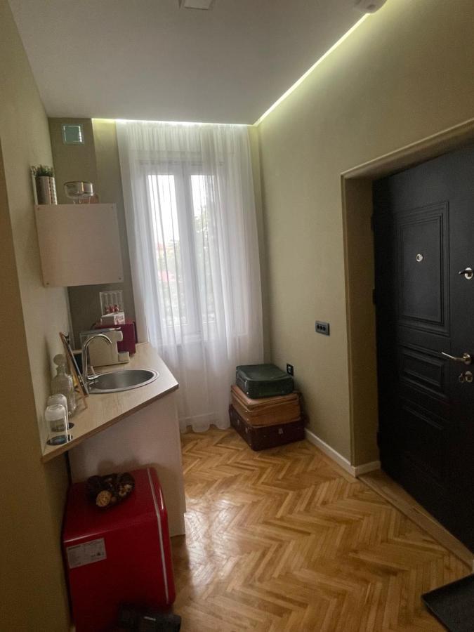 Apartmán New Opera Studio Old City Center Self Check In Temešvár Exteriér fotografie